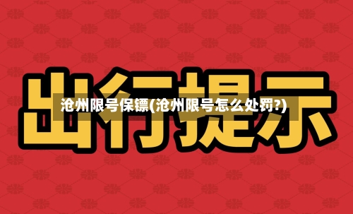 沧州限号保镖(沧州限号怎么处罚?)-第3张图片