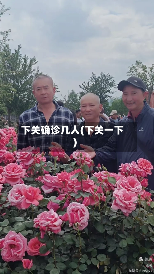 下关确诊几人(下关一下)-第2张图片