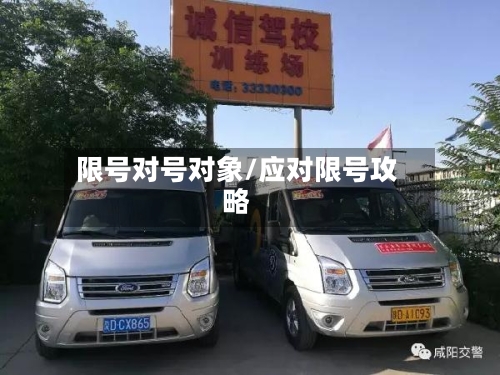 限号对号对象/应对限号攻略-第3张图片