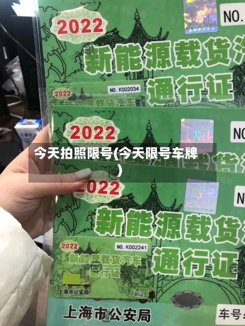今天拍照限号(今天限号车牌)-第3张图片