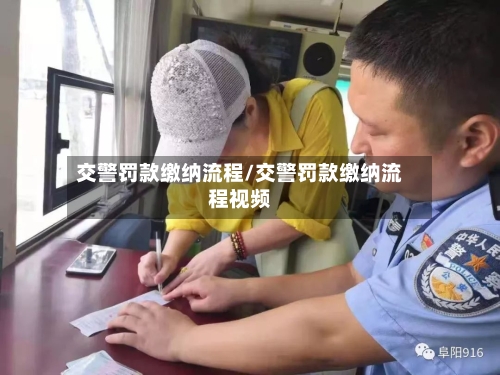 交警罚款缴纳流程/交警罚款缴纳流程视频-第2张图片