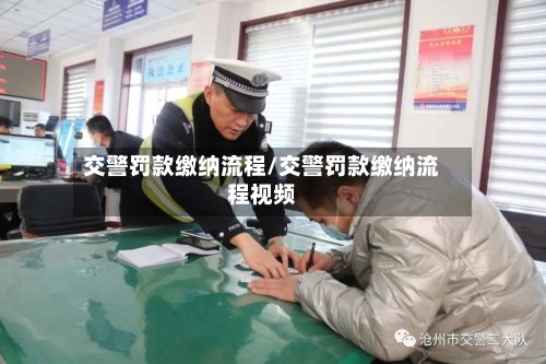 交警罚款缴纳流程/交警罚款缴纳流程视频-第3张图片