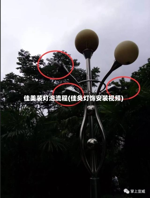 佳美装灯泡流程(佳奂灯饰安装视频)