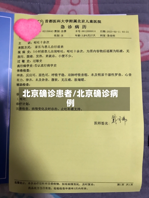 北京确诊患者/北京确诊病例-第2张图片