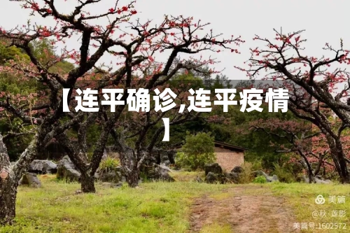 【连平确诊,连平疫情】