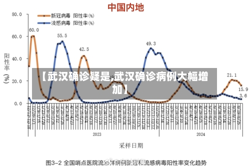 【武汉确诊疑是,武汉确诊病例大幅增加】