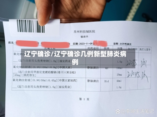 辽宁确诊/辽宁确诊几例新型肺炎病例