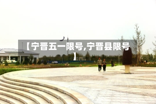 【宁晋五一限号,宁晋县限号】