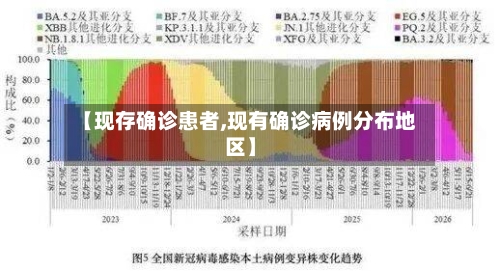 【现存确诊患者,现有确诊病例分布地区】