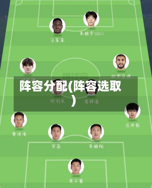 阵容分配(阵容选取)
