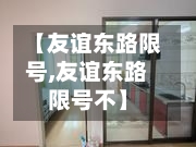 【友谊东路限号,友谊东路限号不】-第2张图片