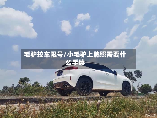 毛驴拉车限号/小毛驴上牌照需要什么手续