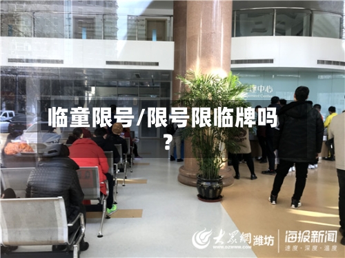 临童限号/限号限临牌吗?-第2张图片