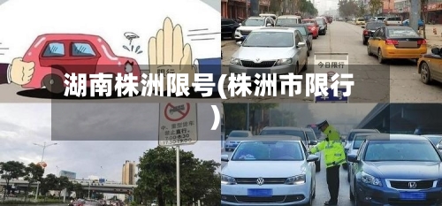 湖南株洲限号(株洲市限行)