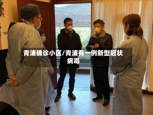 青浦确诊小区/青浦有一例新型冠状病毒