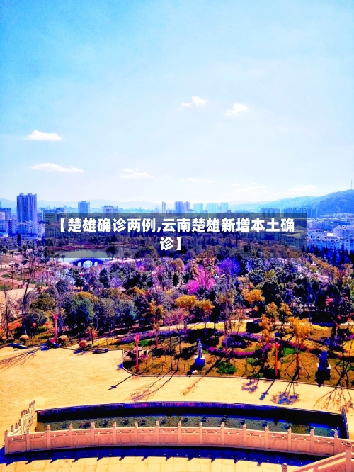 【楚雄确诊两例,云南楚雄新增本土确诊】