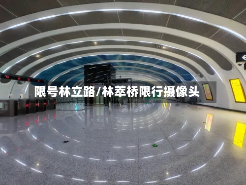 限号林立路/林萃桥限行摄像头