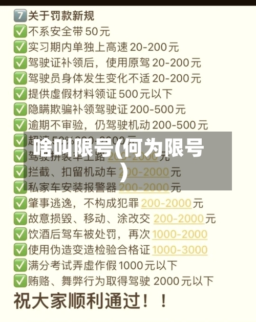 啥叫限号(何为限号)
