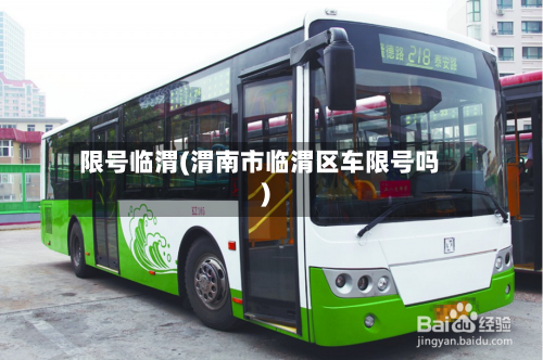限号临渭(渭南市临渭区车限号吗)