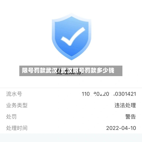 限号罚款武汉/武汉限号罚款多少钱-第2张图片