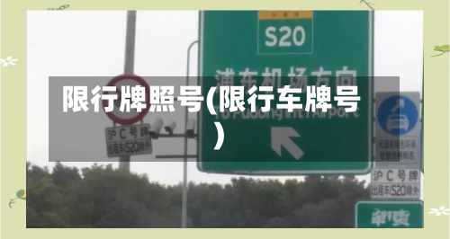 限行牌照号(限行车牌号)-第2张图片