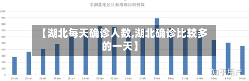 【湖北每天确诊人数,湖北确诊比较多的一天】-第2张图片