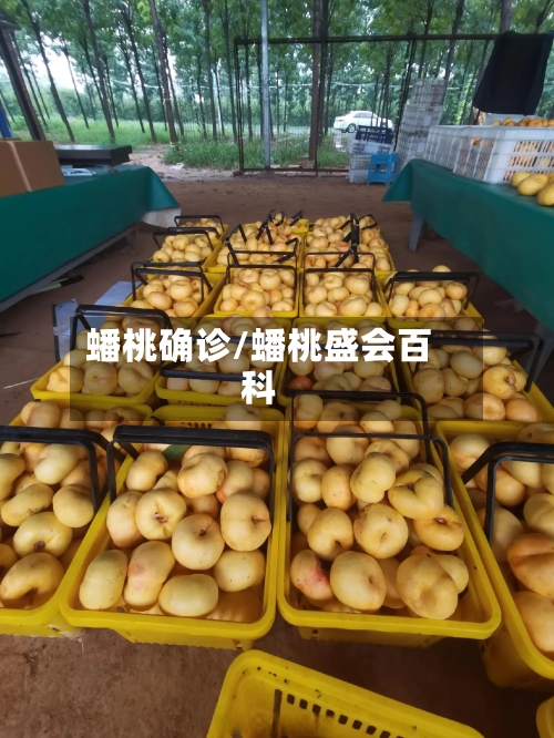 蟠桃确诊/蟠桃盛会百科-第3张图片