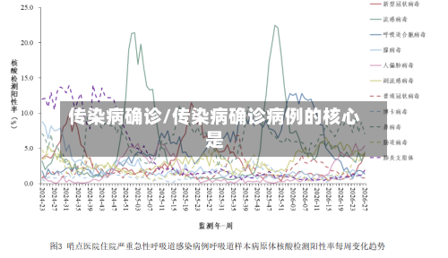 传染病确诊/传染病确诊病例的核心是-第3张图片