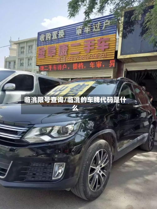 临洮限号查询/临洮的车牌代码是什么-第2张图片