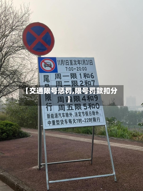 【交通限号惩罚,限号罚款扣分】-第3张图片