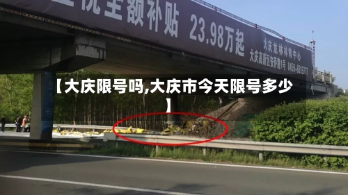 【大庆限号吗,大庆市今天限号多少】