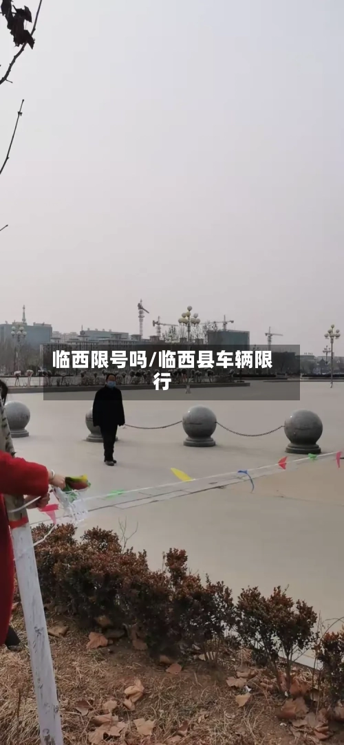 临西限号吗/临西县车辆限行-第3张图片
