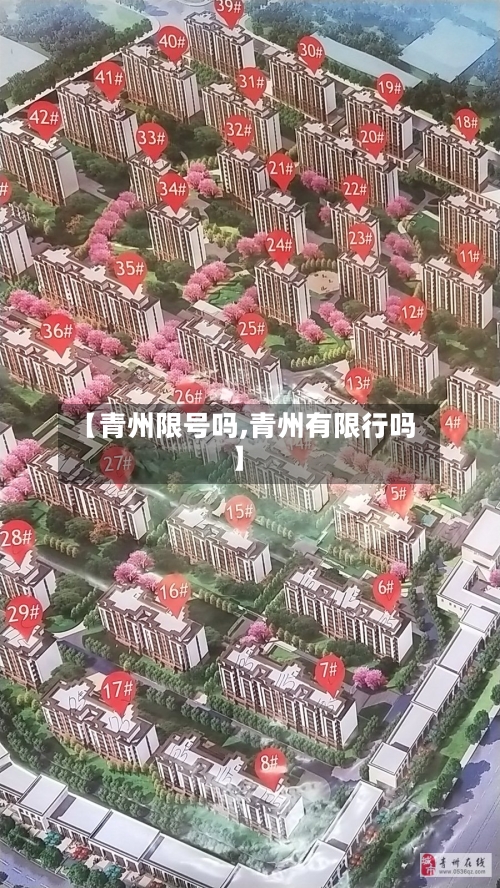 【青州限号吗,青州有限行吗】