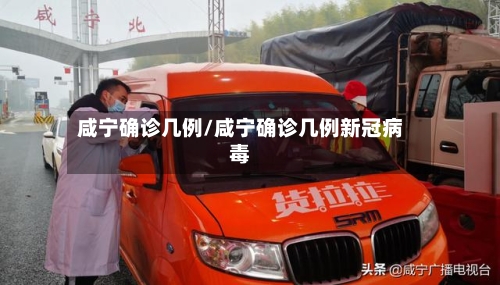 咸宁确诊几例/咸宁确诊几例新冠病毒