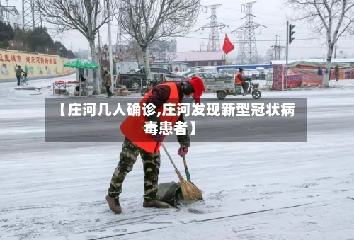 【庄河几人确诊,庄河发现新型冠状病毒患者】-第3张图片