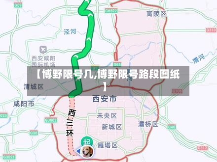 【博野限号几,博野限号路段图纸】