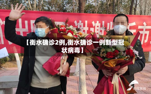 【衡水确诊2例,衡水确诊一例新型冠状病毒】-第2张图片