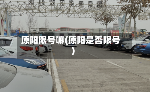原阳限号嘛(原阳是否限号)-第3张图片