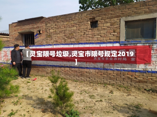 【灵宝限号垃圾,灵宝市限号规定2019】-第3张图片