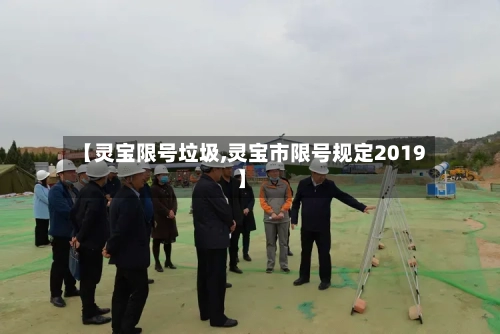 【灵宝限号垃圾,灵宝市限号规定2019】-第2张图片