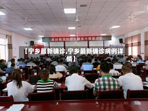 【宁乡最新确诊,宁乡最新确诊病例详情】-第2张图片