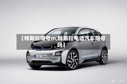【特斯拉限号m,特斯拉电动汽车限号吗】-第2张图片