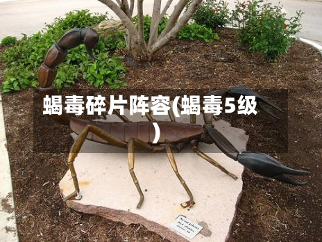 蝎毒碎片阵容(蝎毒5级)-第2张图片