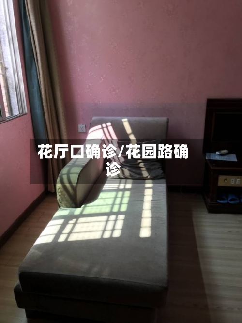 花厅口确诊/花园路确诊-第3张图片