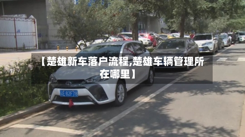 【楚雄新车落户流程,楚雄车辆管理所在哪里】-第2张图片