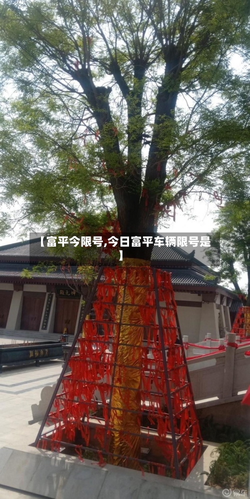【富平今限号,今日富平车辆限号是】-第2张图片