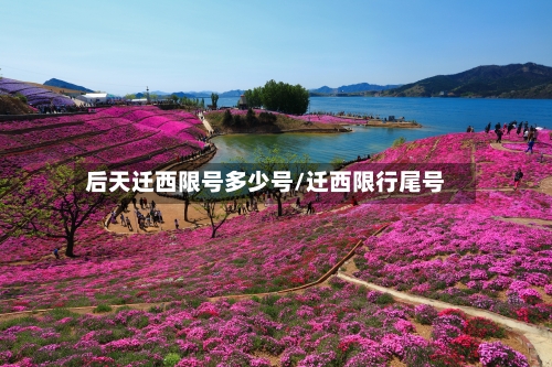后天迁西限号多少号/迁西限行尾号-第3张图片