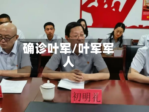 确诊叶军/叶军军人-第3张图片
