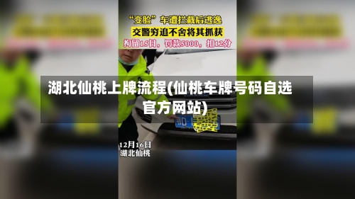 湖北仙桃上牌流程(仙桃车牌号码自选官方网站)