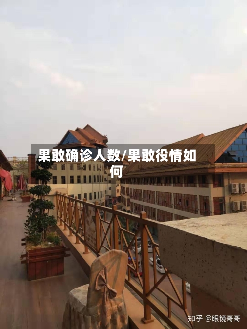 果敢确诊人数/果敢役情如何